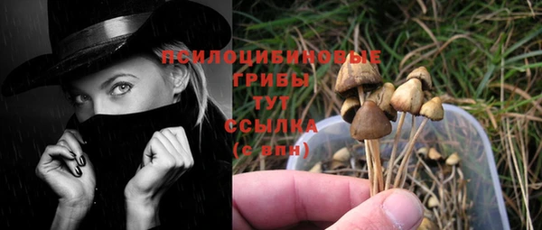 дживик Надым